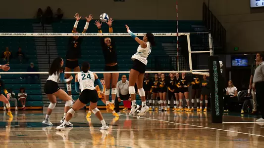 Stout with the kill vs App