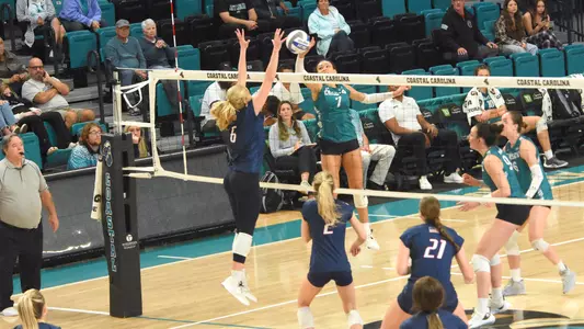 Stout attack vs South Alabama