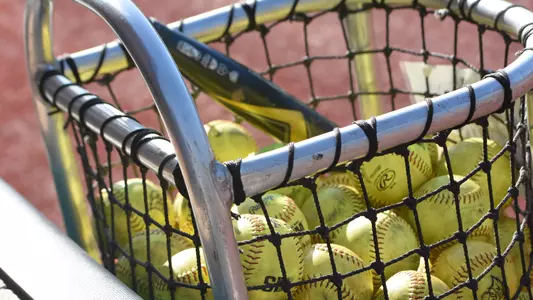 softball ball