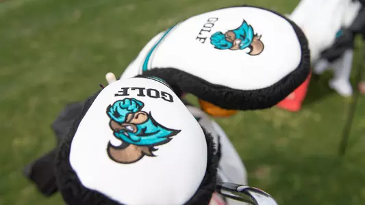 Golf Head Covers