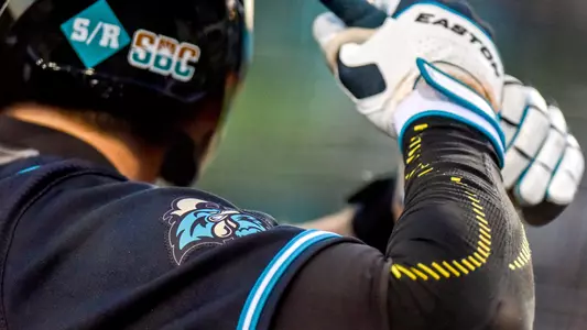 Baseball Helmet, sleeve, gloves and bat