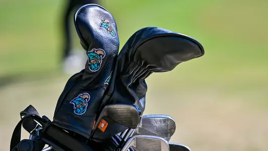 Golf Clubs
