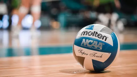 Volleyball on court