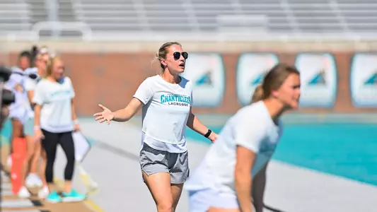 Demis coaching
