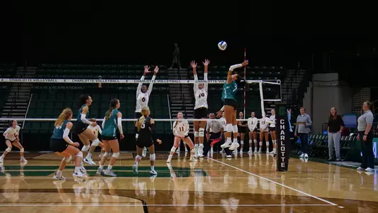 Stout Attacking vs Elon