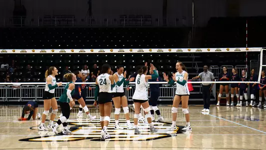 Celebration @ UMBC vs UVA