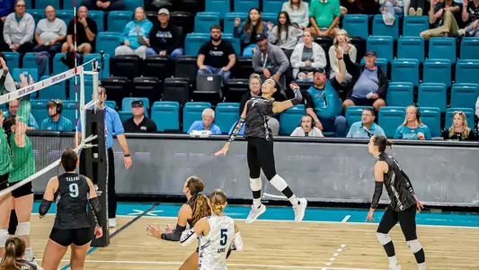 Stout with the kill vs Marshall