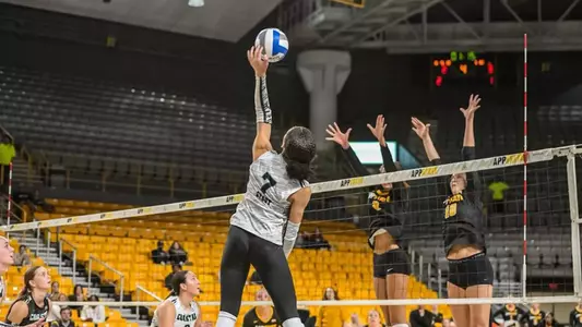 Stout attack vs App St