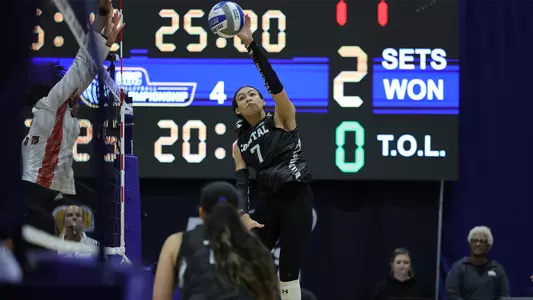 Stout with attack vs ASTATE