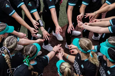 hands-softball