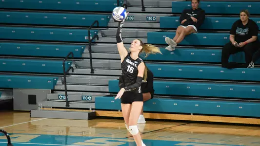 Fowler serving vs Tenn
