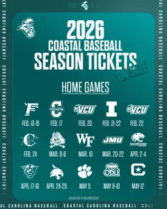 Baseball home schedule