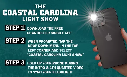 The Coastal LighThe Coastal Light Showt Show