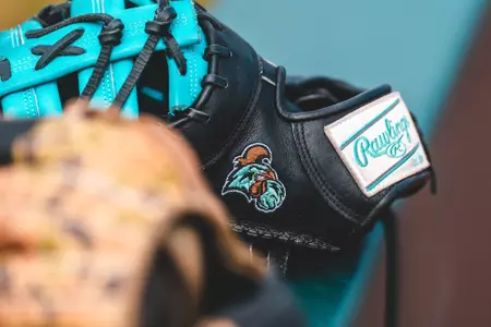 Coastal glove on bench in Jacksonville on 2/20/2025