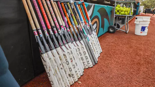 BATS sball