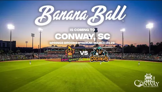banana ball 2