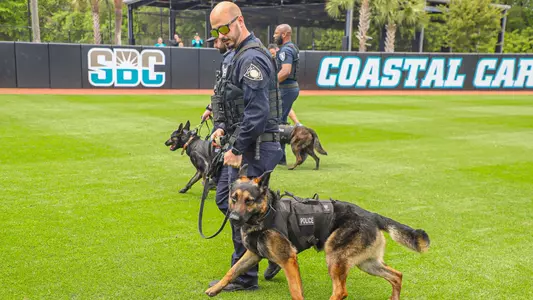 bark in the park