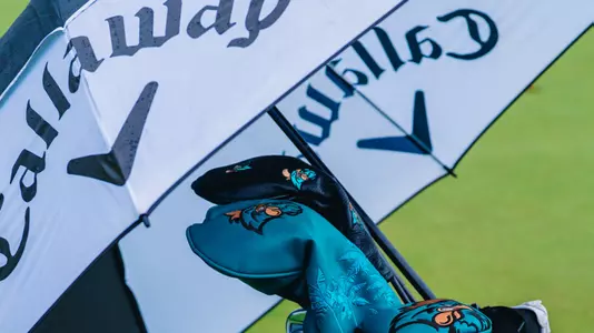 Umbrella