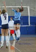 Volleyball Falls to Princeton in Three