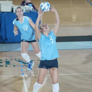 On the Prowl with Shannon Hunzicker '08CC