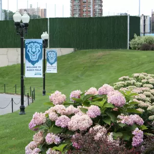 2008 Columbia Football Camp is Underway