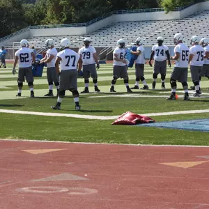 Wilson's Camp Report