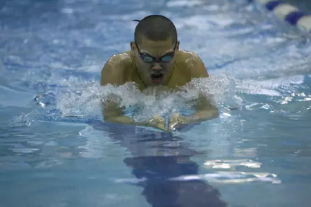 Men's Swimming & Diving To Host Black Knights of Army Saturday