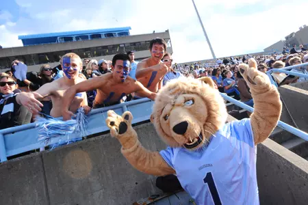 Roar-ee!