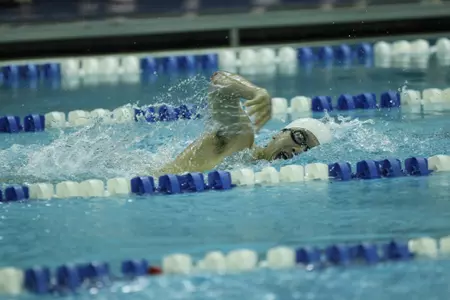 Men's Swimming Prepares for 2012 ECAC Championships