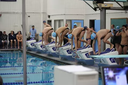 Men's Swimming & Diving Announces 2017-18 Newcomers
