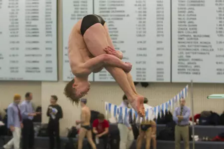 Lions Edged At Yale; Jayden Pantel Sets 3M Diving Record