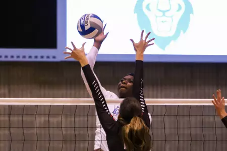 Volleyball Soars Past Brown, 3-0