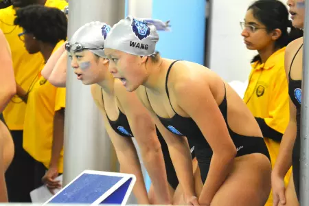 Yale on Tap For Women's Swimming & Diving
