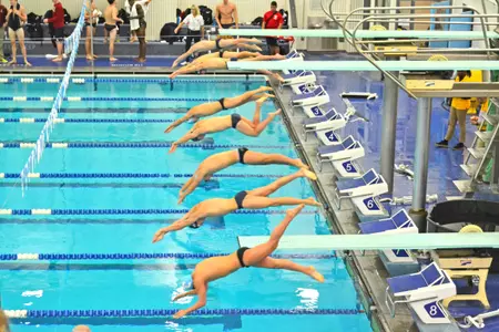 Men's Swiming & Diving Heads To Brown