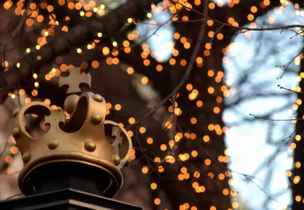 Fall 2017 Academic All-Ivy League Selections Announced