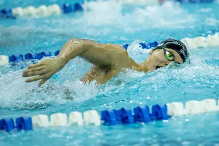Lions Strong In Sprint Freestyle At Princeton