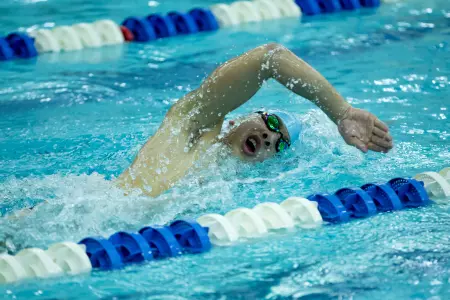 ECAC Championships Up Next For Men's Swimming