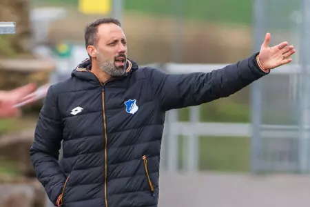Pellegrino Matarazzo Promoted to Assistant At TSG Hoffenheim