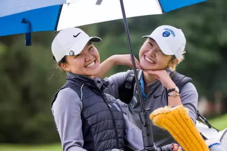 Under the Rain Umbrella