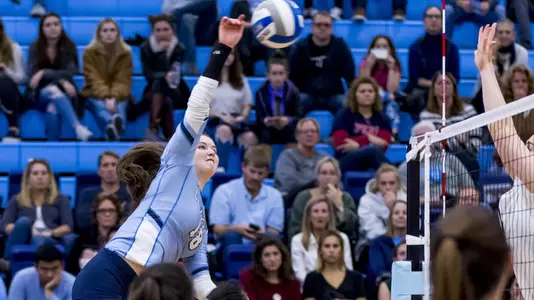 Emily Teehan All Ivy League Headline