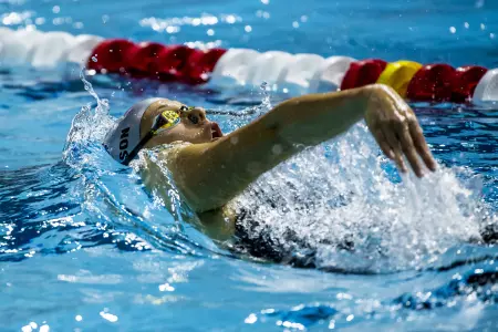 related_article_title