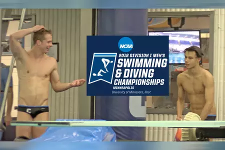 Pantel & Suckow Heads To NCAA Diving Championships