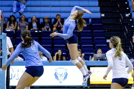 Lauren Wilkins Hitting