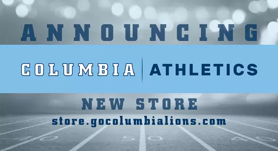 Lion Store Story Image