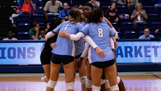 Volleyball 2018 stock team huddle