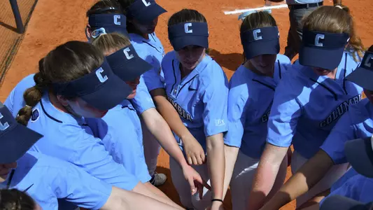 Softball Hands In Huddle 2019