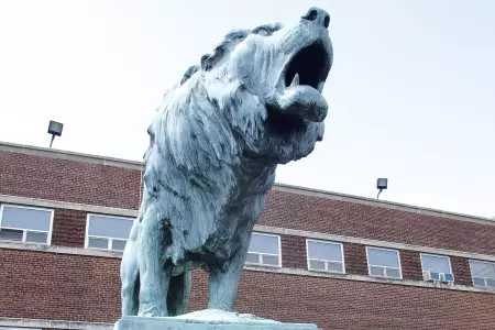 Chrystie Field House Lion
