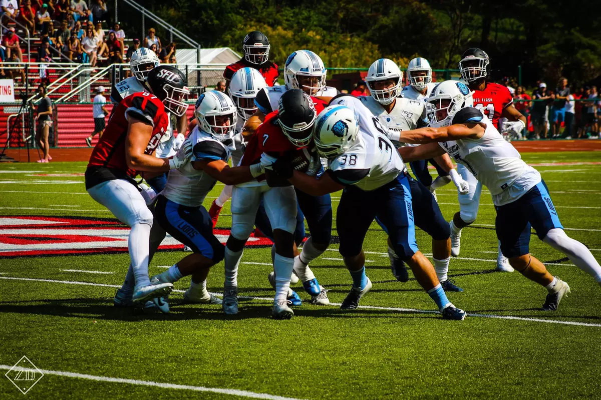 Defense Swarm at SFU