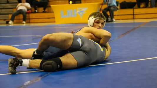 Mosher Pin at LIU (2020)