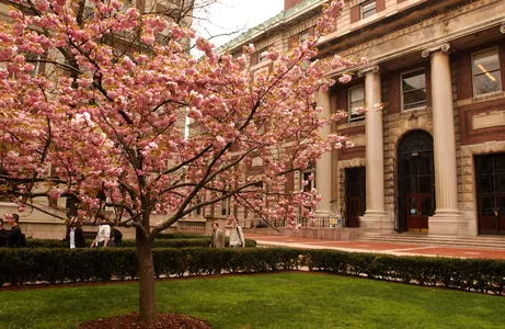 Spring at Columbia Photo
